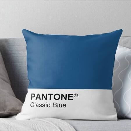 pantone 2020 color of the year pillow